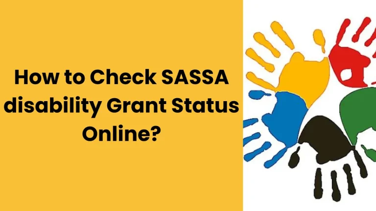 sassa disability grant status